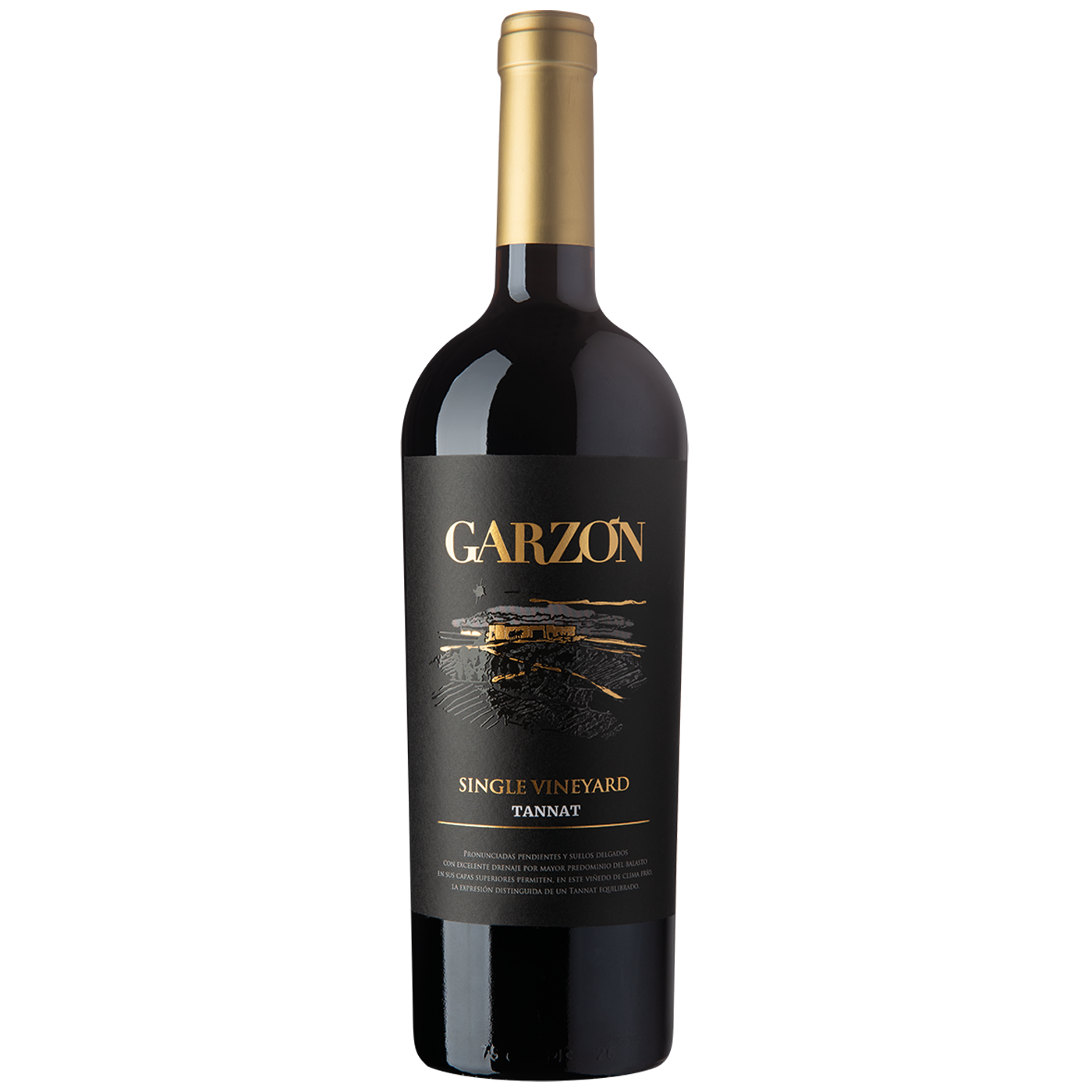 Bodega Garzón Single Vineyard Tannat Garzón